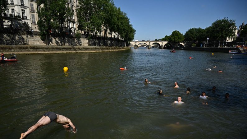 
Un habitant plonge dans la Seine, à Paris, le 17 juillet 2024, après que la maire de Paris a nagé dans le fleuve pour démontrer qu'il est suffisamment propre pour accueillir les épreuves de natation en plein air des Jeux olympiques de Paris. (JULIEN DE ROSA/AFP via Getty Images)