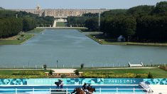JO 2024 : un chevreuil tombe dans le bassin du parc de Versailles, interrompant la compétition d’équitation