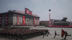 Corée du Nord : L’ONU dénonce le travail forcé institutionnalisé