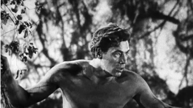 La renommée de Johnny Weissmuller s'étendait de l'athlétisme à la comédie. Le voici dans le rôle de Tarzan, dans le film de 1932 "Tarzan l'homme singe". (Domaine public)