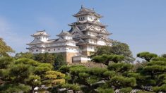 Le Japon devrait vraiment faire payer les touristes quatre fois plus cher