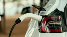 Trois fois plus de problèmes techniques pour les voitures électriques que pour les thermiques, selon une étude