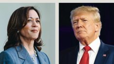 Trump propose un débat contre Harris sur Fox News, elle refuse