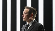 Elon Musk s’en va-t-en guerre contre Garm… qui ferme ses portes deux jours après sa plainte