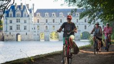 Boom du vélotourisme : plus de 1,8 millions de cyclistes pour la « Loire à vélo » en 2022