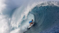 Surf : reportées à cause de la météo, les épreuves des JO 2024 se déroulant à Tahiti seront visibles en France dès ce soir