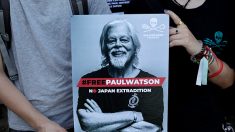 Le défenseur des baleines Paul Watson, 73 ans, maintenu en détention au Groenland