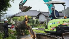 Japon : bilan meurtrier pour le typhon Shanshan devenu tempête tropicale