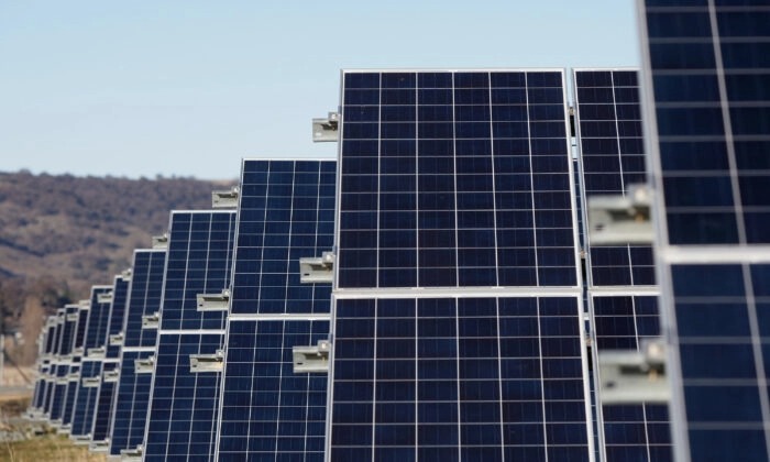 Le parc solaire de Royalla à Canberra, en Australie, le 28 juin 2016. (Lisa Maree Williams/Getty Images)