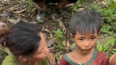 Vietnam : un garçon de six ans retrouvé vivant après avoir erré quatre jours en pleine forêt