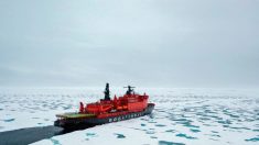 Le Pentagone veut protéger l’Arctique des influences russo-chinoises