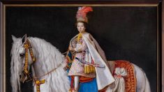 « Cheval en majesté » à Versailles