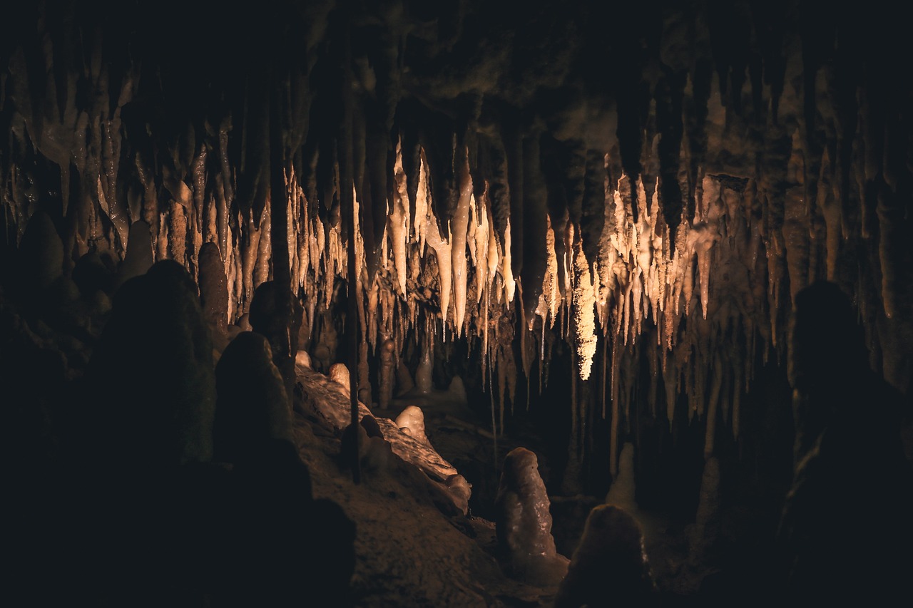 "Pour voir si c'est solide", un visiteur décroche une stalactite plusieurs fois millénaire dans une grotte de Dordogne