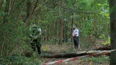 Ce que l’on sait sur le meurtre de Philippine, 19 ans, dont le corps a été retrouvé enterré dans le bois de Boulogne