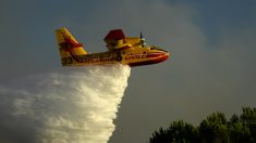 Face à la pénurie de Canadair, une start-up bordelaise veut lancer une version française de ce bombardier d’eau