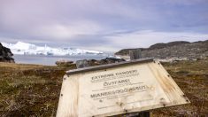 Un énorme tsunami parti du Groënland a fait vibrer la terre pendant neuf jours