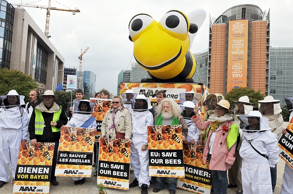 Des apiculteurs, munis d'une abeille gonflable de 5 mètres, manifestent devant les portes du siège de l'UE à Bruxelles le 29 avril 2013 pour faire face aux législateurs qui décident de voter sur l'interdiction des pesticides tueurs d'abeilles.  (Photo GEORGES GOBET/AFP via Getty Images)