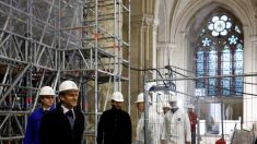 Notre-Dame de Paris : la guerre des vitraux a commencé