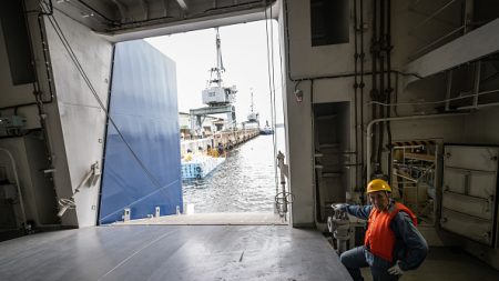 Le Japon tue un rorqual commun à des fins commerciales, une première en un demi-siècle