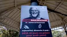 Groenland : en prison le défenseur des baleines Paul Watson continue le combat