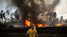 Record de pollution carbone dû aux feux au Portugal : les fumées attendues sur une partie de la France