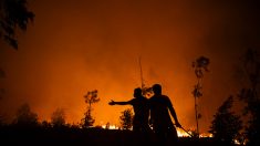 Le Portugal ravagé par les incendies : le pays compte sept morts et sollicite l’aide européenne