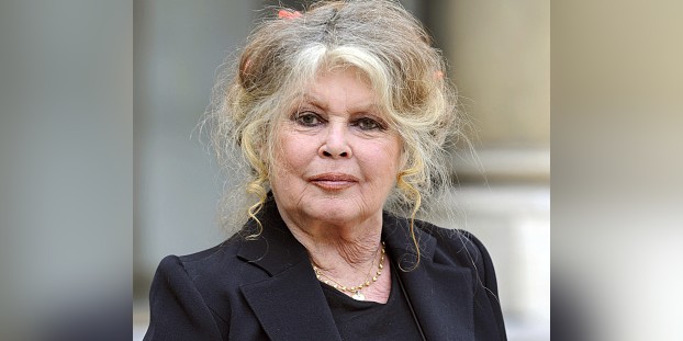 L'actrice française et activiste des droits des animaux Brigitte Bardot quitte le Palais de l'Elysée, le 27 septembre 2007 à Paris. (Photo by ERIC FEFERBERG/AFP via Getty Images)