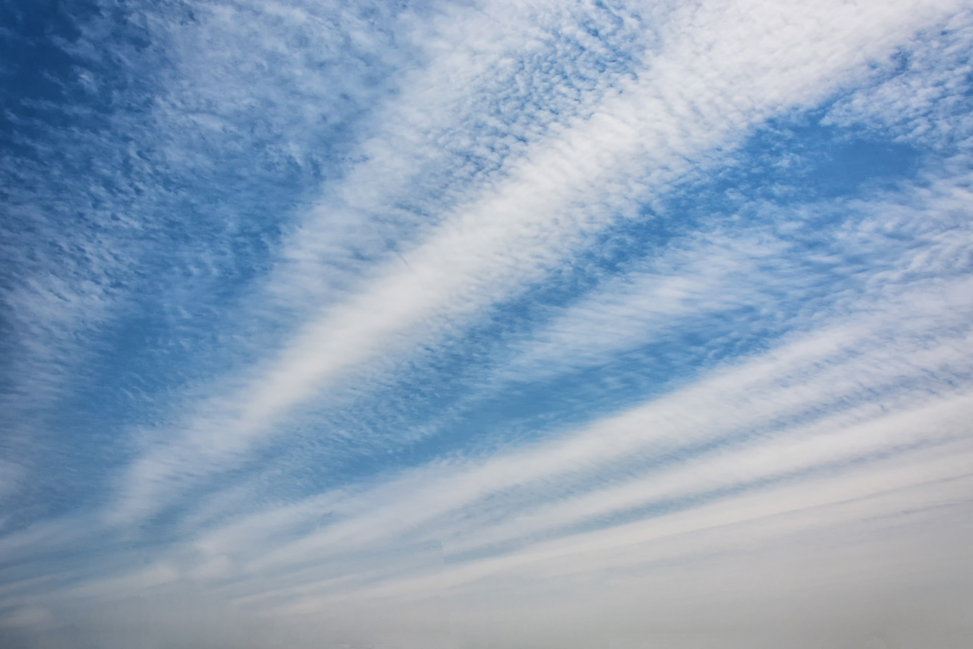 Ces traînées derrière les avions auraient un mauvais impact sur le climat, mais pas celui qu'on croit