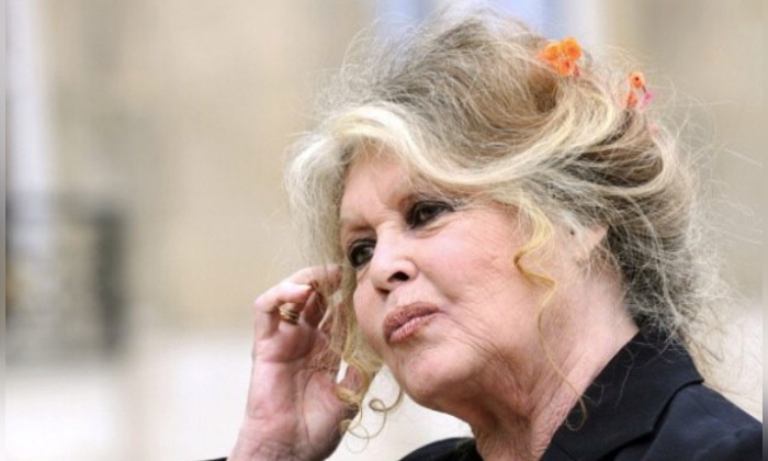 La directrice d'un refuge animalier reçoit une photo dédicacée par Brigitte Bardot dans sa boîte aux lettres