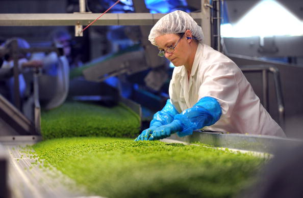 Une femme travaille sur des petits pois dans une usine du producteur français des légumes en conserve et surgelés Bonduelle Bonduelle. Illustration. (PHILIPPE HUGUEN/AFP via Getty Images)