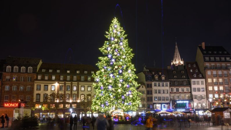 Vue du sapin de Noël du marché de Strasbourg, le 25 novembre 2019, à Strasbourg. (Crédit photo PATRICK HERTZOG/AFP via Getty Images)