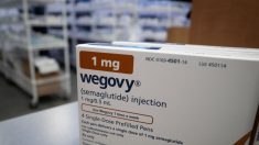 Médicaments anti-obésité: après le Wegovy, le Mounjaro arrive en France