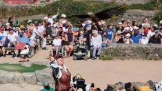 Le Puy du Fou enregistre un nouveau record avec 2,8 millions de visiteurs en 2024