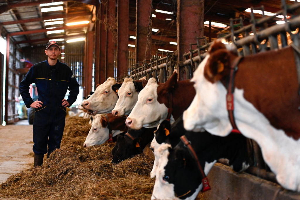 Le lait français menacé par la concurrence déloyale