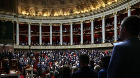 « La France a assassiné Philippine comme elle a assassiné Lola », fustige Hanane Mansouri, benjamine de l’hémicycle