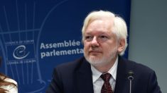 « J’ai plaidé coupable d’avoir fait du journalisme », affirme Julian Assange au Conseil de l’Europe