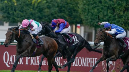 En plein galop, le cheval Haya Zark décède lors du Qatar Prix de l’Arc de Triomphe