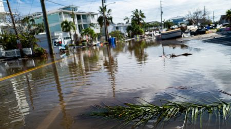 Les habitants de Floride durement éprouvés par l’Ouragan Milton : en plus des 16 morts à ce jour, l’arrivée d’alligators, de serpents et de bactéries