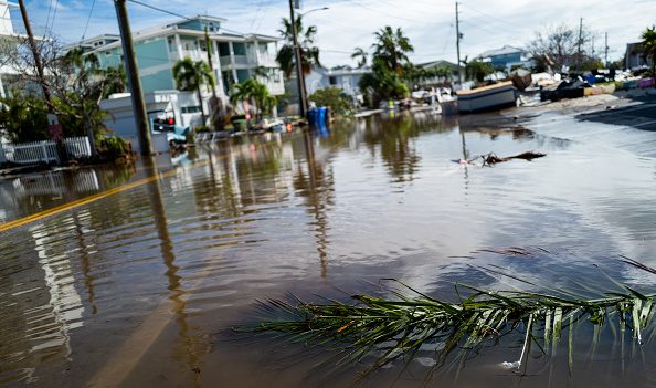 Les habitants de Floride durement éprouvés par l’Ouragan Milton : en plus des 16 morts à ce jour, l’arrivée d’alligators, de serpents et de bactéries