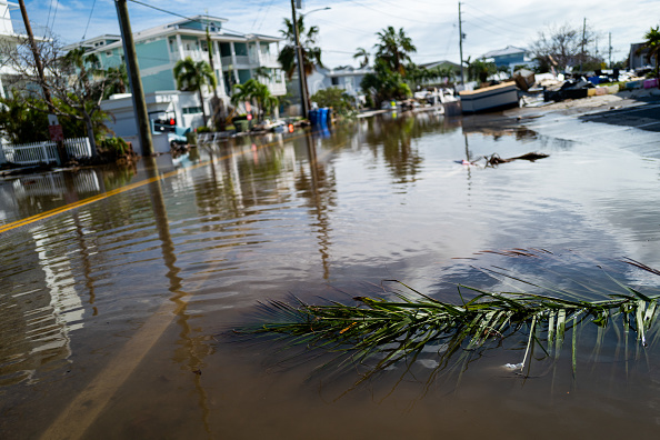 Les habitants de Floride durement éprouvés par l'Ouragan Milton : en plus des 16 morts à ce jour, l'arrivée d'alligators, de serpents et de bactéries