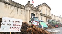  « Marre des promesses en l’air » : en Occitanie, les agriculteurs en colère reprennent le chemin de la contestation