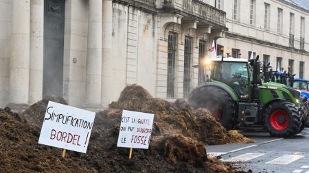 « Pas de pays sans paysan » : la mobilisation des agriculteurs reprend de l’ampleur