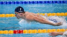 Natation : Léon Marchand s’offre un nouveau record de France sur le 200 m 4 nages à Shanghai