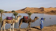 « Un don du ciel » : des pluies torrentielles ont redonné vie à des lacs asséchés dans le sud-est du Maroc