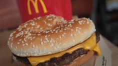 Un mort et 49 malades liés à une bactérie dans des hamburgers de McDonald’s aux États-Unis