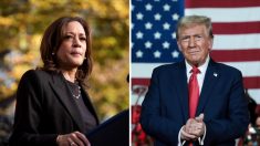 Élections américaines : à deux semaines de l’échéance, Trump progresse, Harris stagne