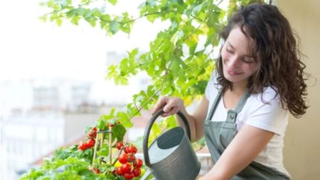 Créer un jardin urbain dans un petit espace