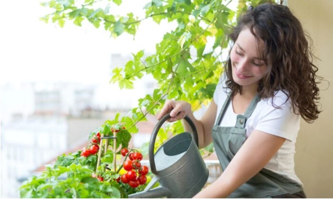 Créer un jardin urbain dans un petit espace