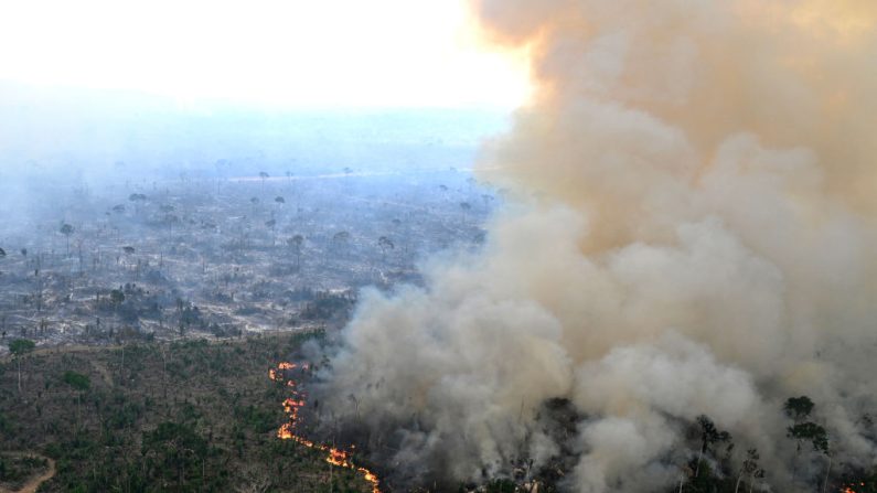 Vue aérienne d'une zone de la forêt amazonienne déboisée par des incendies illégaux dans la municipalité de Labrea, État d'Amazonas, au Brésil, prise le 20 août 2024. (EVARISTO SA/AFP via Getty Images)