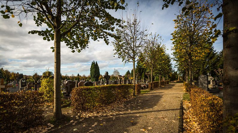 Allée du cimetière ouest de Strasbourg. (Photo : Claude TRUONG-NGOC/Wikimédia)